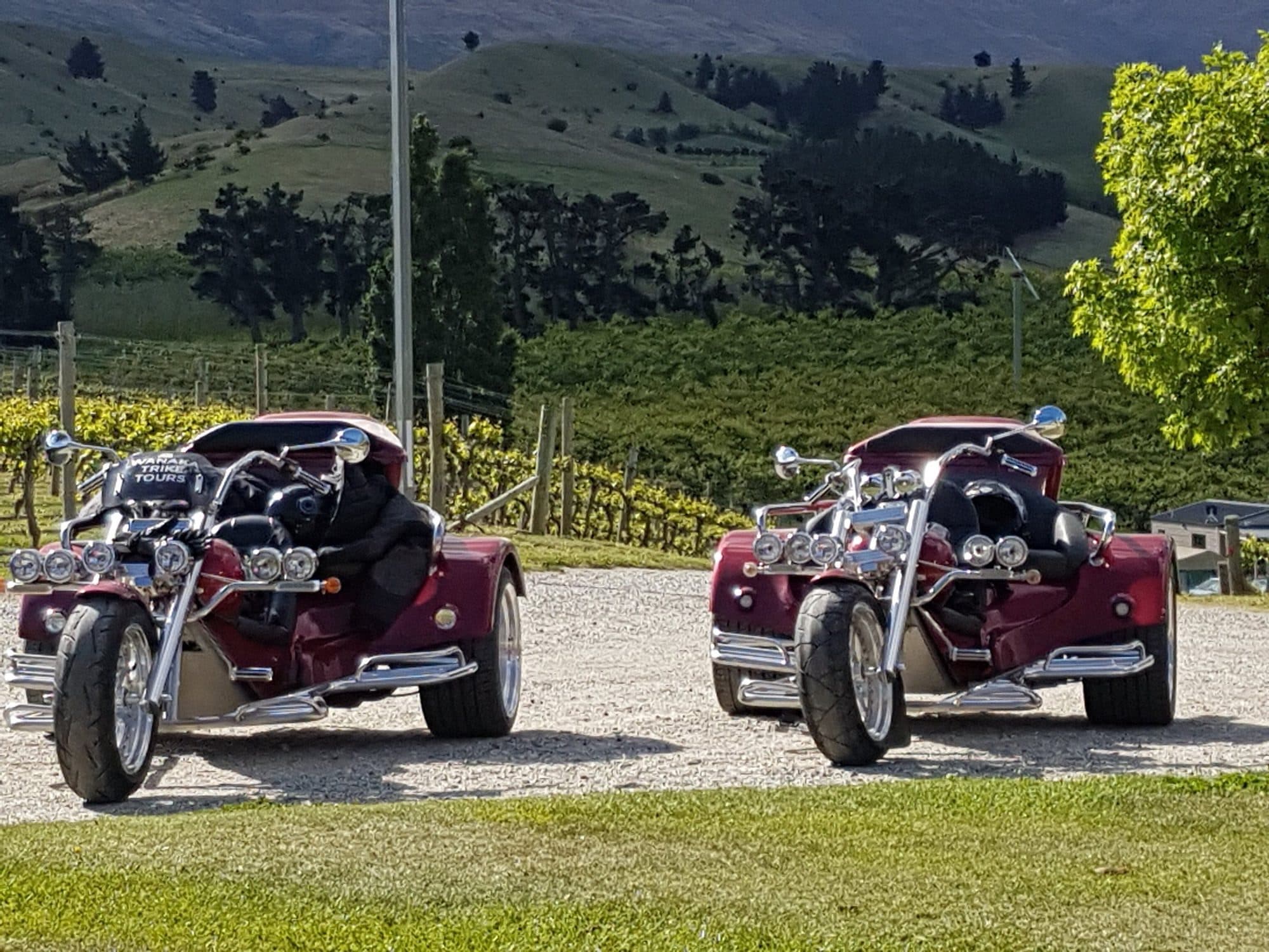 Two red trikes parked at a vineyard with hills behind